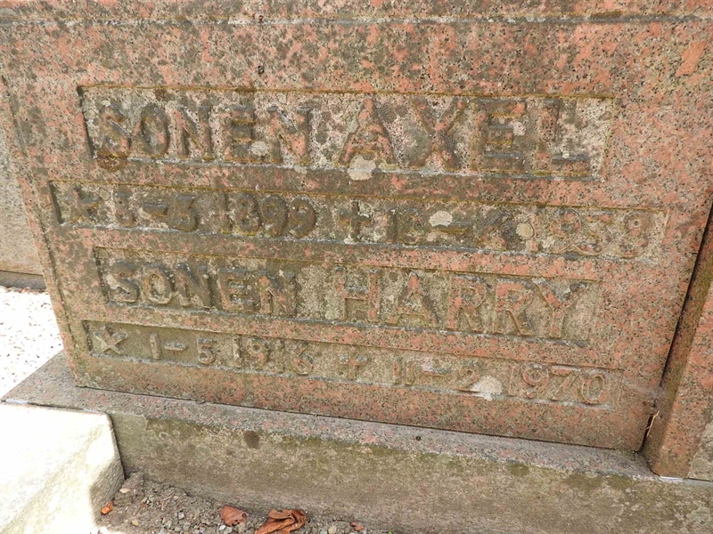 Hautatunnus: BRO 1   141