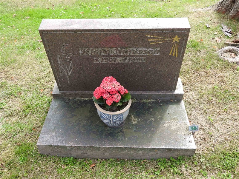 Hautatunnus: BRO 1    15