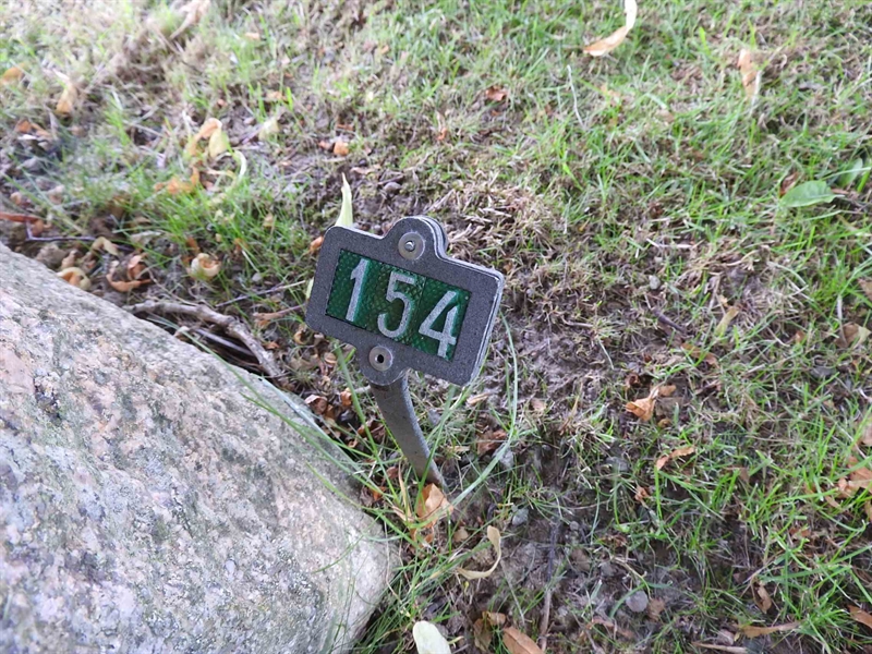 Hautatunnus: BRO 1   154