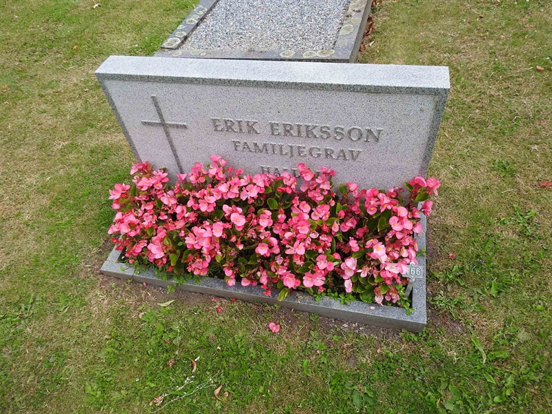 Hautatunnus: BRO 1   166