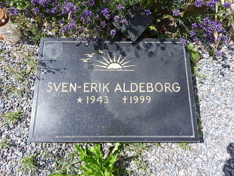 Gravnummer: BRO 1   173