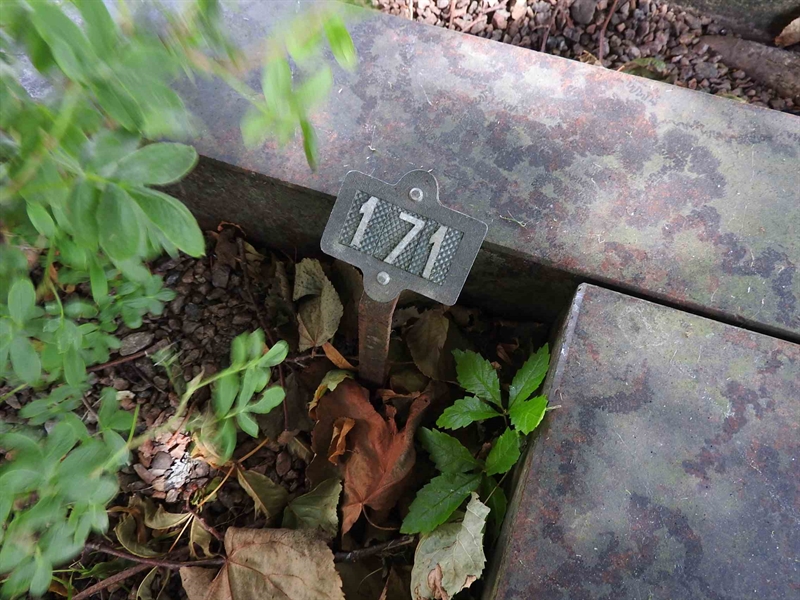 Hautatunnus: BRO 1   171