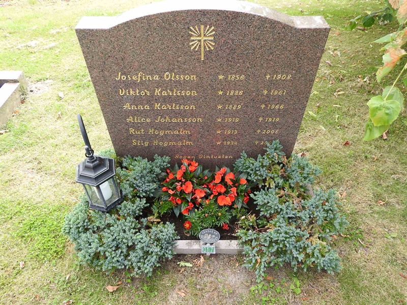 Hautatunnus: BRO 1    17