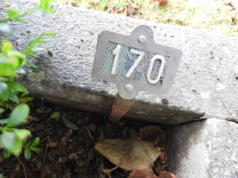 Gravnummer: BRO 1   170