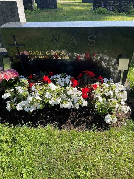 Hautatunnus: N 5 2   238