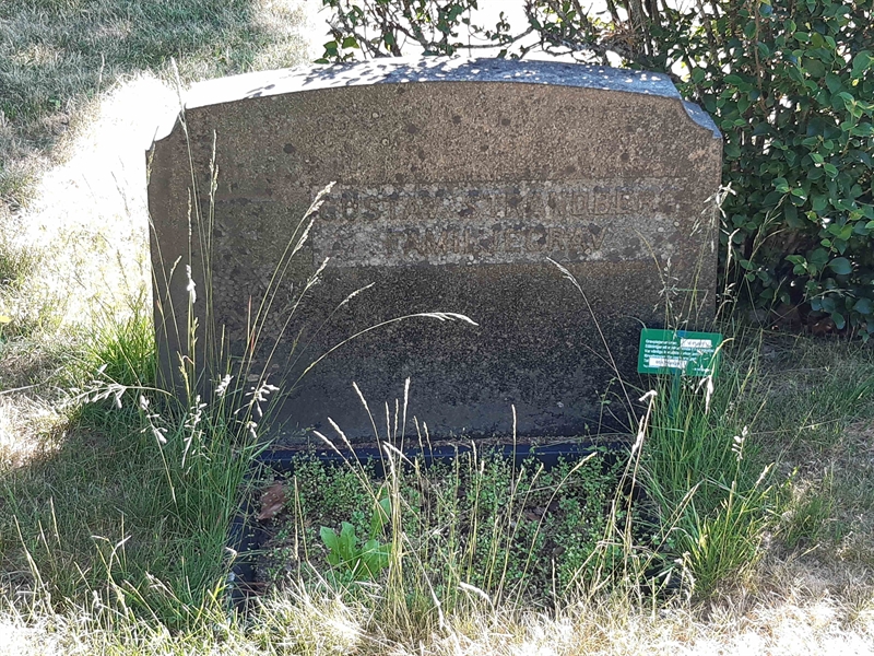 Grave number: VI 01   601