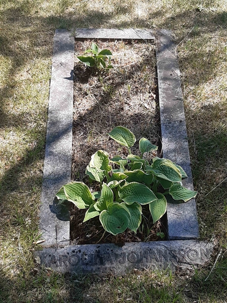 Grave number: JÄ 08   280