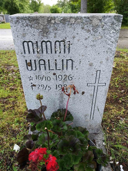 Hautatunnus: NK 13     2