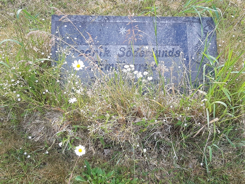 Grave number: VI Ö:A   167