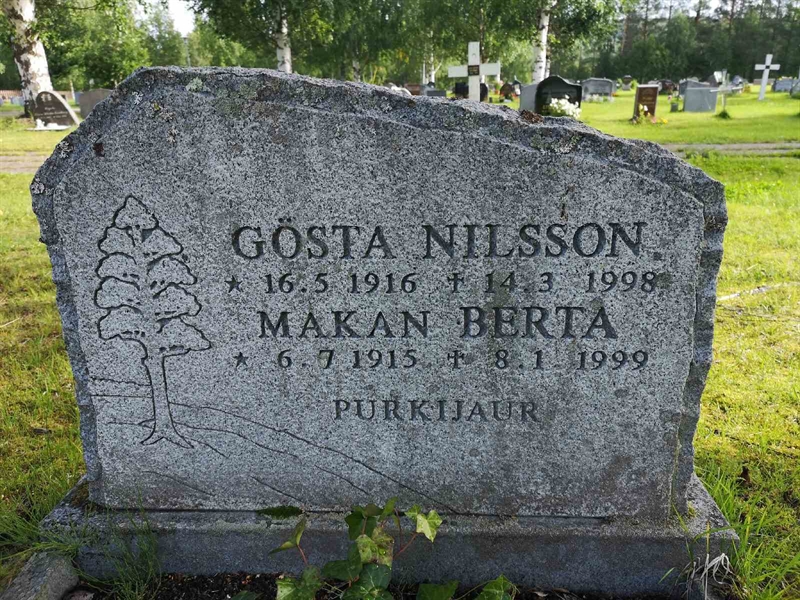 Hautatunnus: NK 17    45