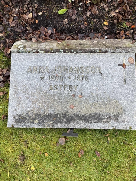 Gravnummer: 3 01 08    69A