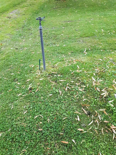 Hautatunnus: GK A 4   267V