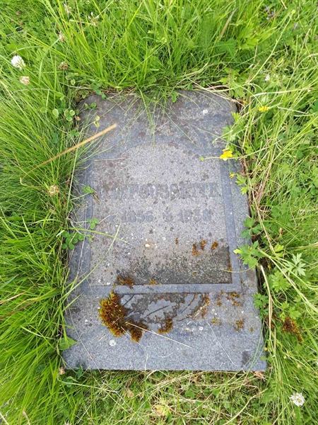 Hautatunnus: GK A 5   255M