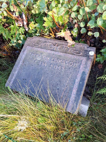 Hautatunnus: NK F B    35