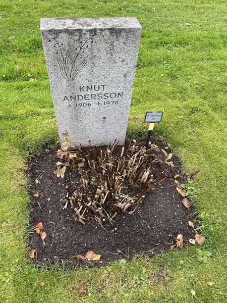 Hautatunnus: 2 C   409