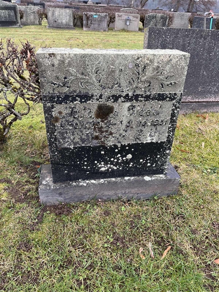 Hautatunnus: Vårv Kv4 156