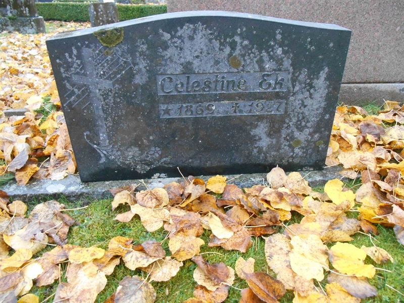 Grave number: Vitt G04    51