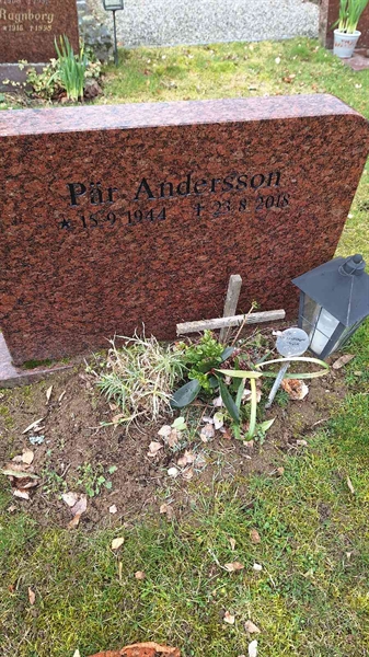 Hautatunnus: VG A    66-67