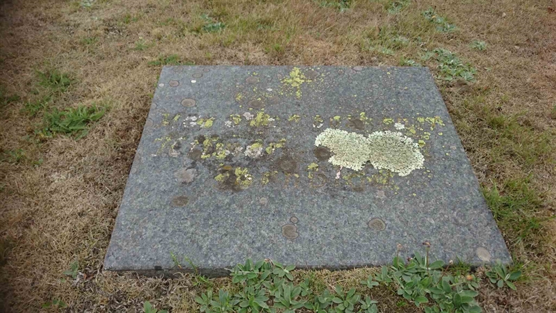 Grave number: LN 003  1112, 1113