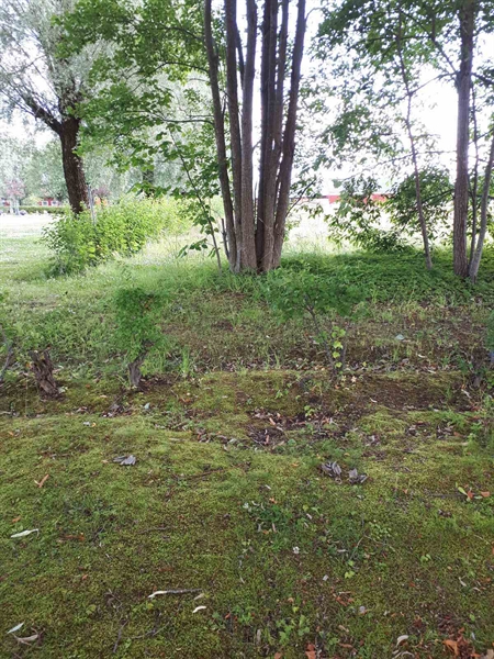 Grave number: GK F 5   475