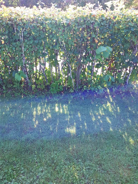 Grave number: NK F G   283