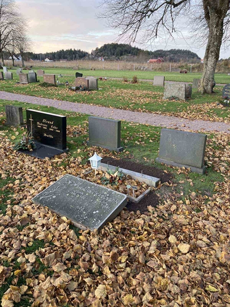 Hautatunnus: BRO 13    37