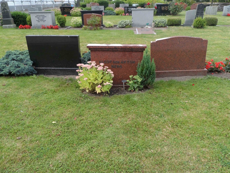 Grave number: SK D   212, 213, 214, 215
