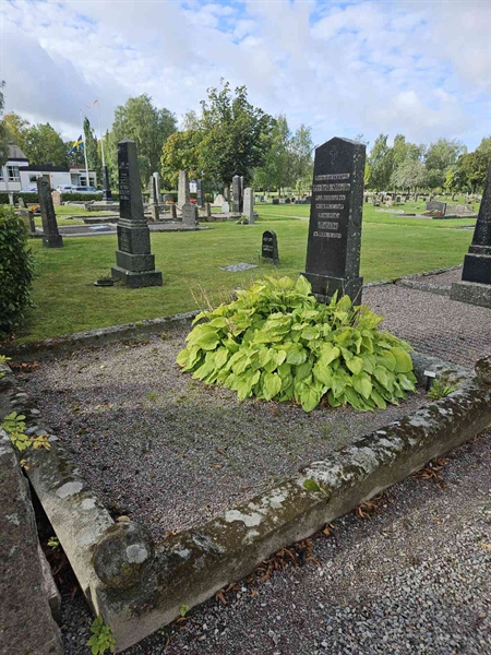 Grave number: Fr 5   598-600