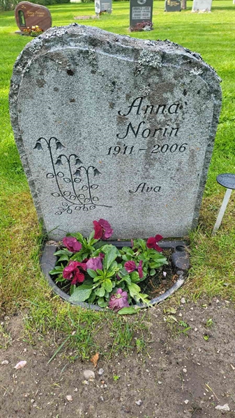 Grave number: D N 8  2143