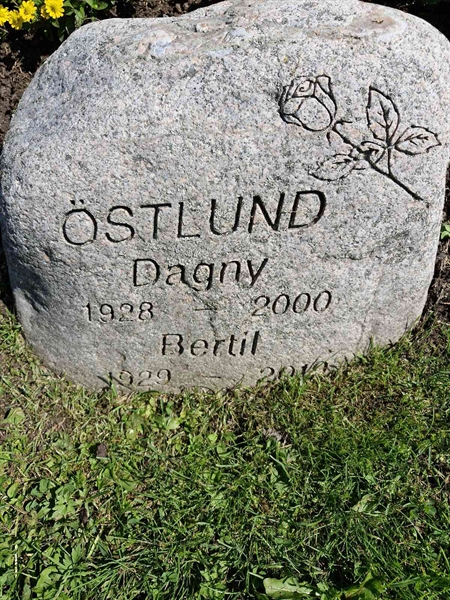 Gravnummer: 1 BLÅSI 50