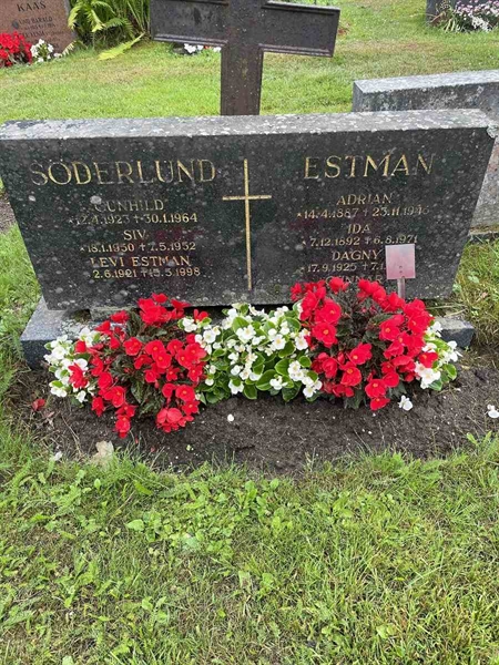 Gravnummer: N 4 4   543