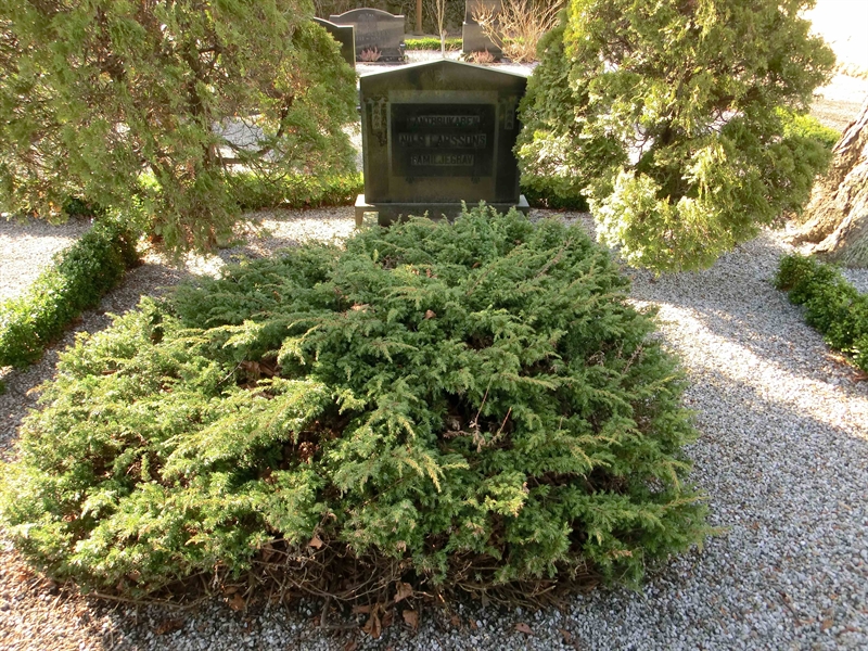 Grave number: LB F 011-012