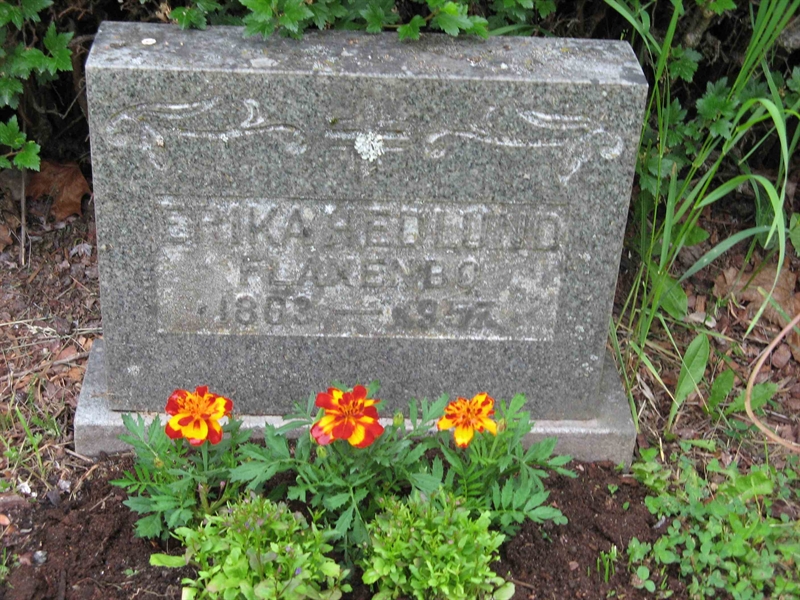 Grave number: A E  118