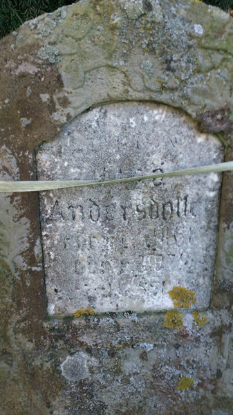 Grave number: MA V    15