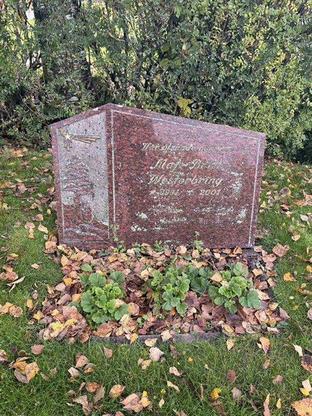 Gravnummer: 3084 J    81