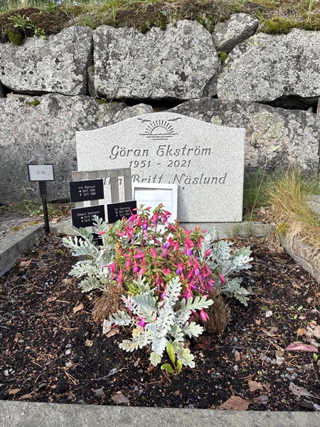 Grave number: 1 U    14