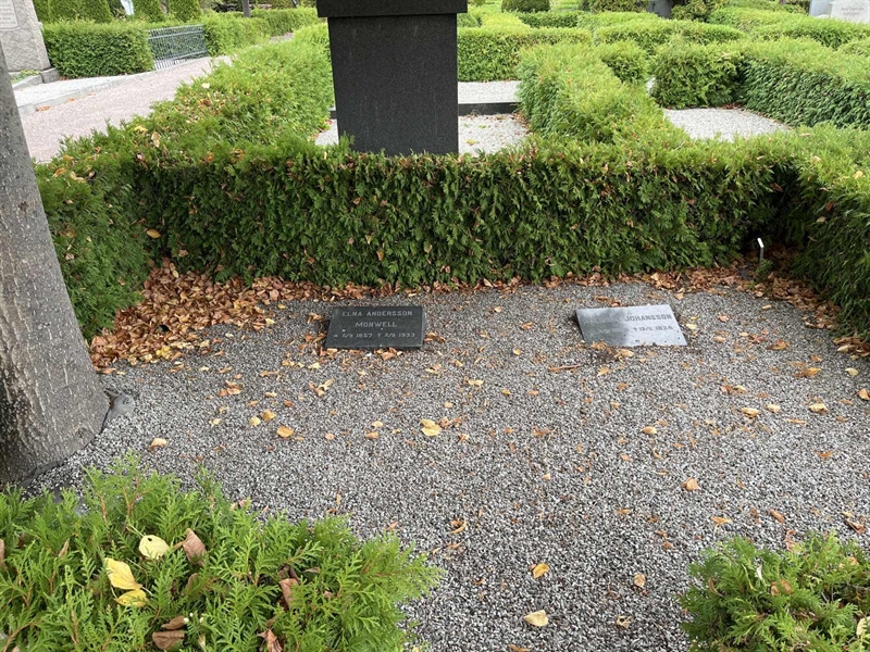 Grave number: VK I    61