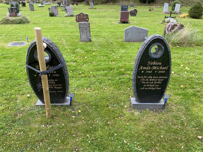 Hautatunnus: 2 C   732-733