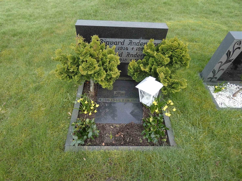 Grave number: BR G   135b