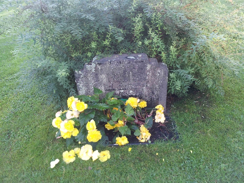 Grave number: 1 NE    46