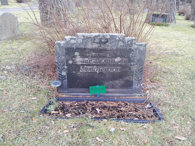 Grave number: 1 NE    39