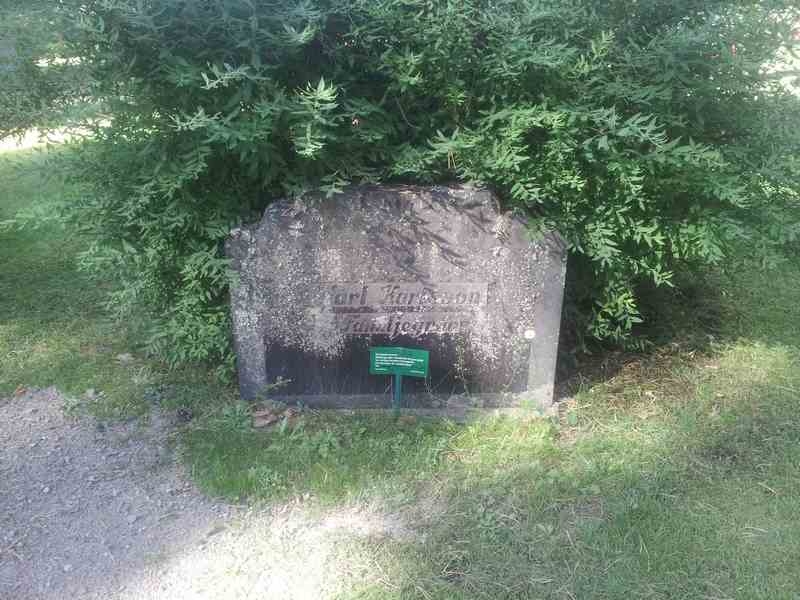 Grave number: 1 NE    45