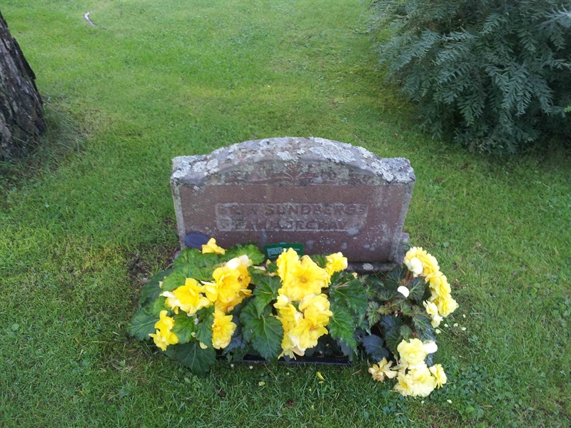 Grave number: 1 NE    43