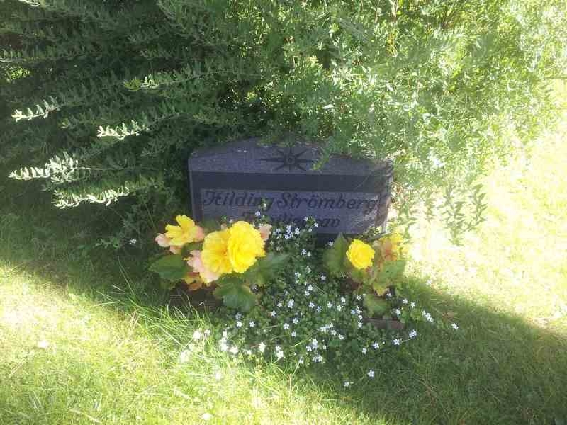 Grave number: 1 NF    29