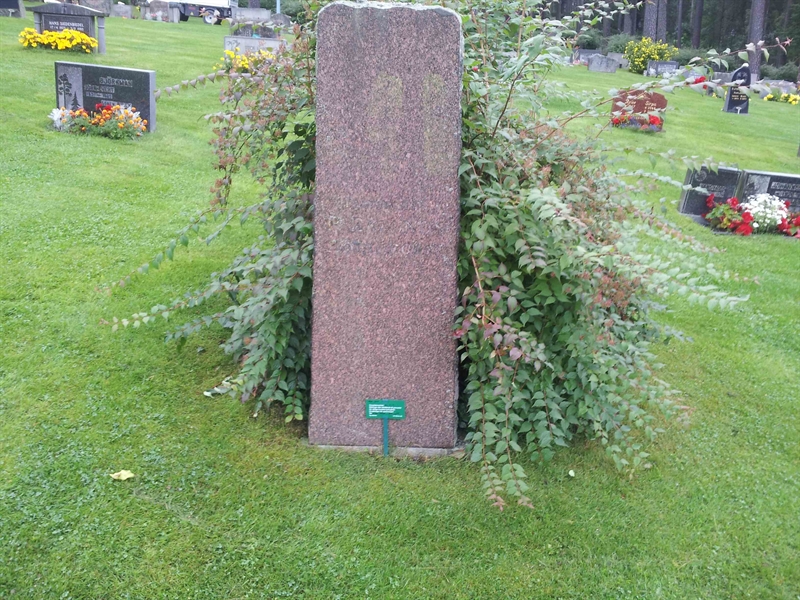 Gravnummer: 1 GL11    11