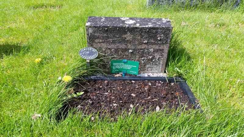 Grave number: 1 GL.8   131