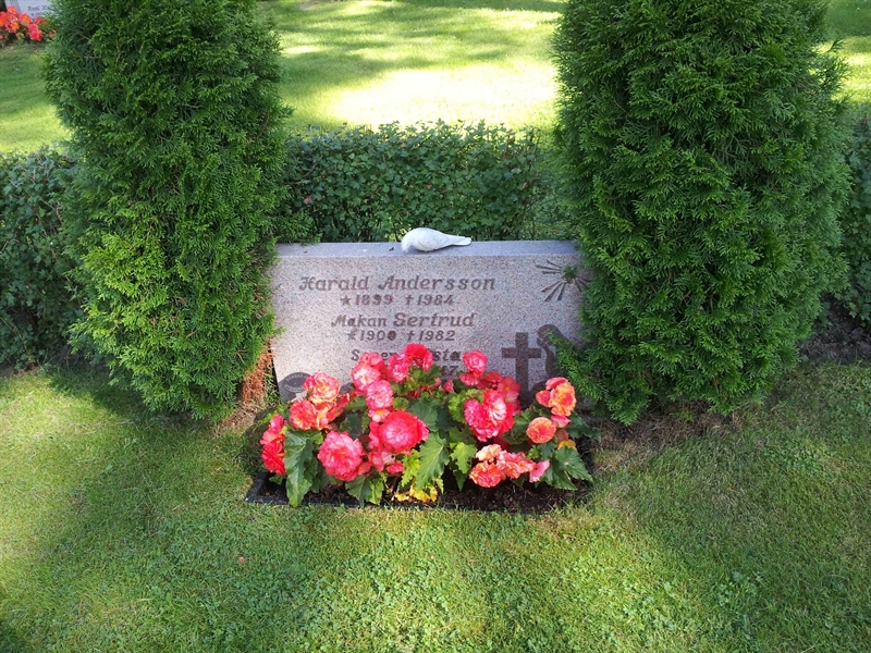 Grave number: 1 NI     9