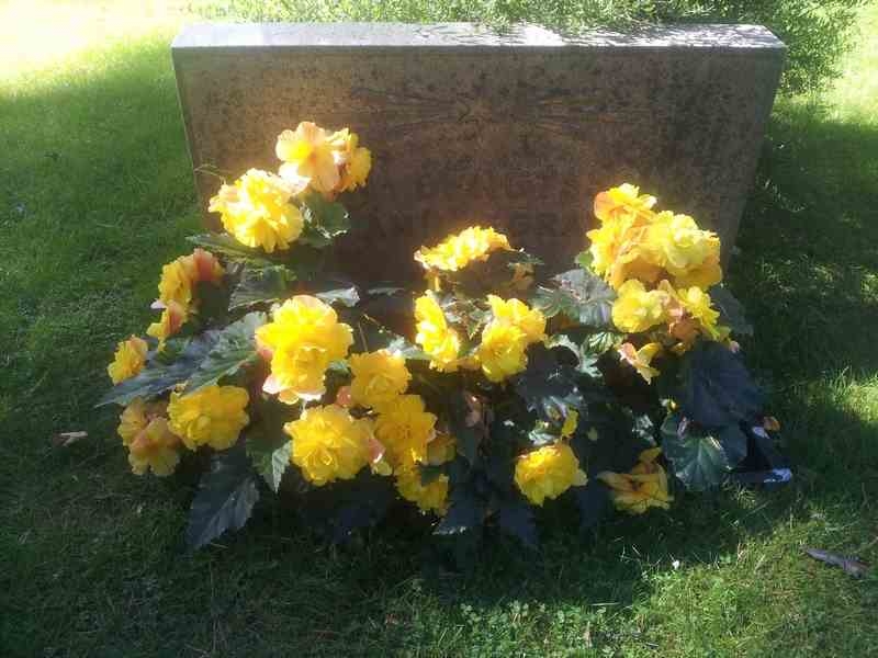 Grave number: 1 NF    59