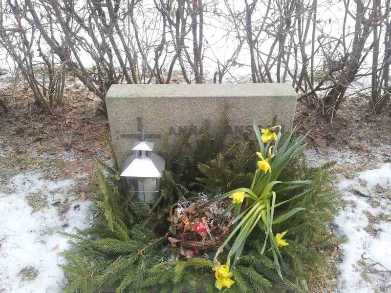 Grave number: 1 KV.3   246