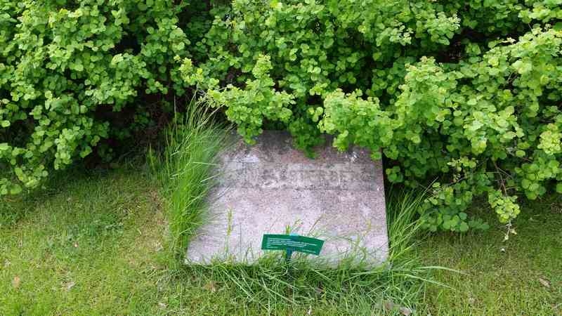 Grave number: 1 GL.8   325